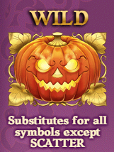 Wilds, re-spins and other features