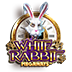 White Rabbit